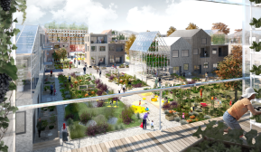 Visualisering av urbant odlingsgrannskap i den planerade stadsdelen Sätra i utkanten av Västerås. Källa: sweco.se