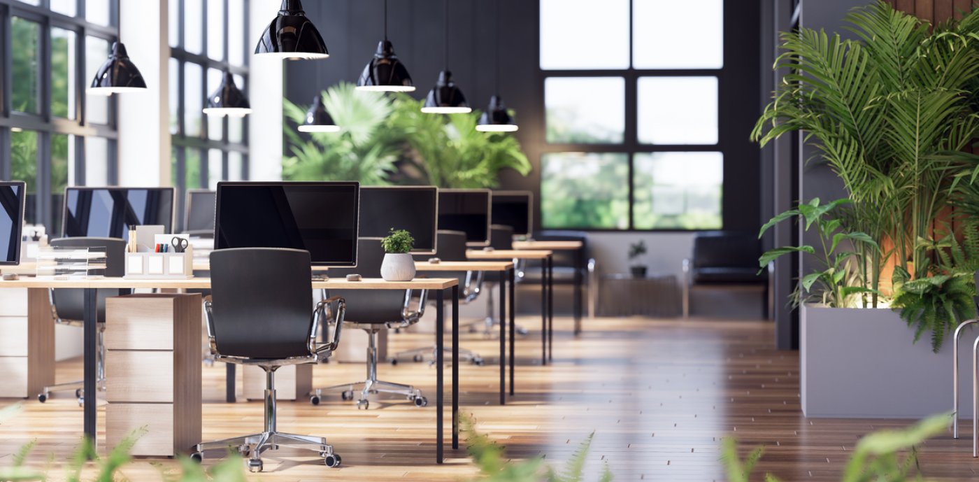 Kontorslandskap med skrivbord, datorer och gröna växter.