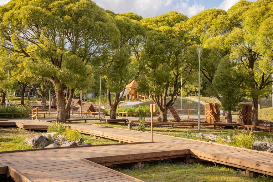 Skolgård med träd.