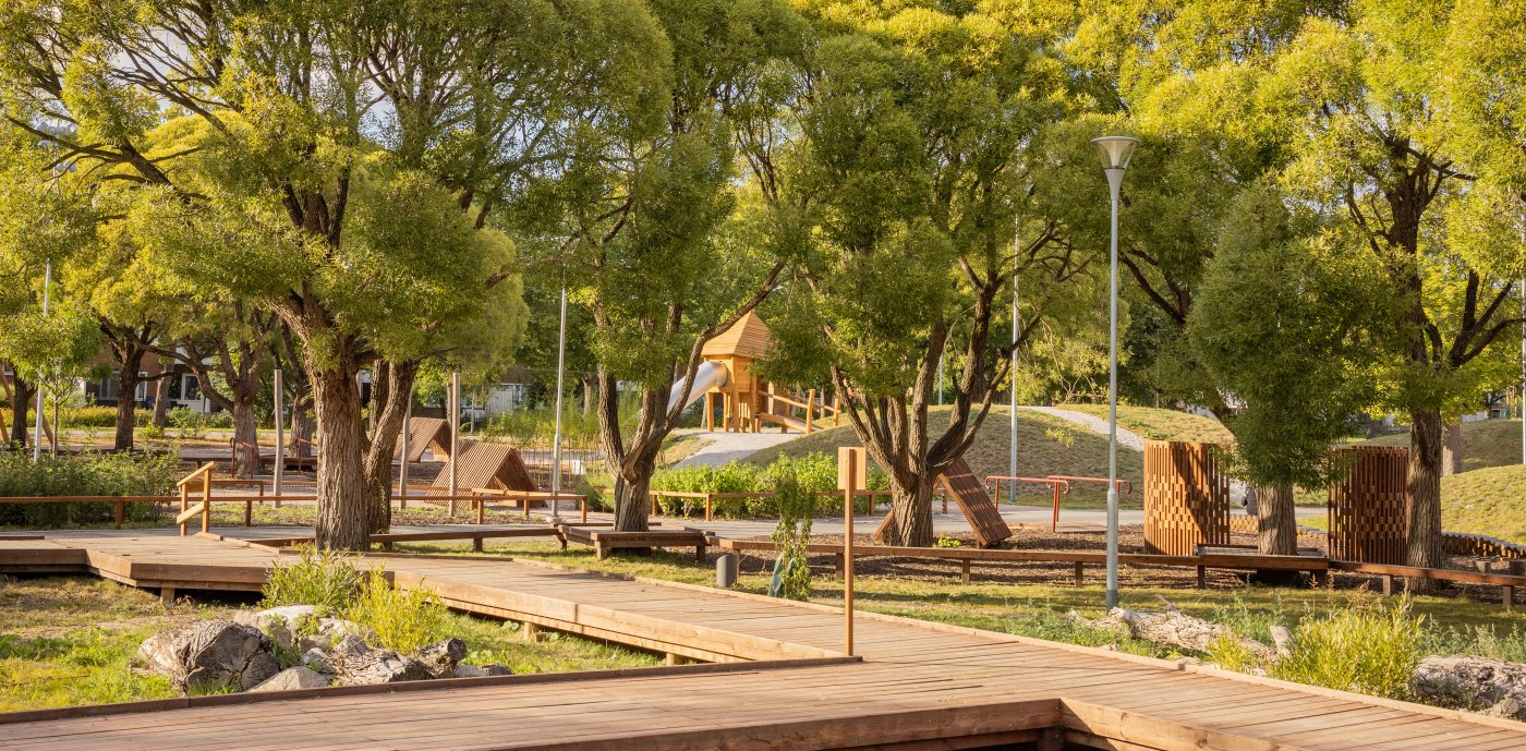 Skolgård med träd.