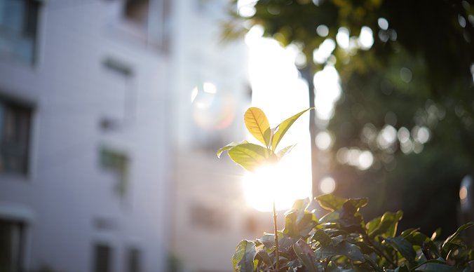 Vi bygger bærekraft Vi bygger bærekraft