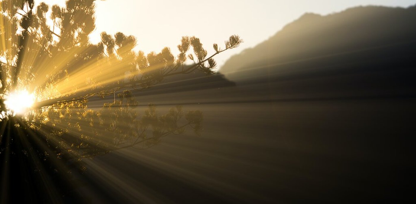 Miljø, natur og bærekraft Miljø, natur og bærekraft