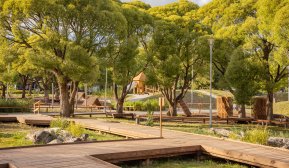 Skolgård med träd.