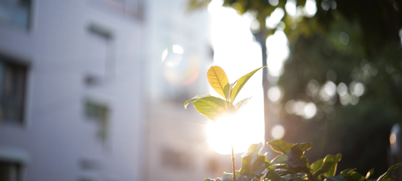 Vi bygger bærekraft Vi bygger bærekraft